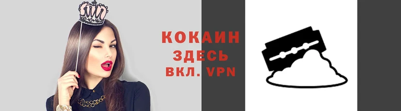 гашик Алексеевка
