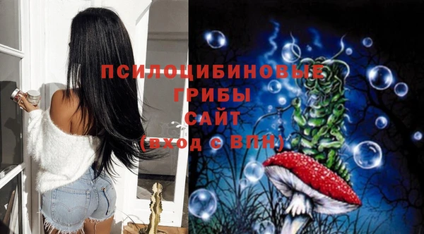 твердый Алексин