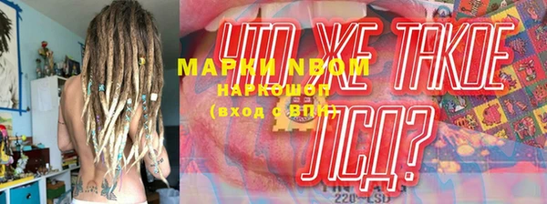 гашик Алексеевка