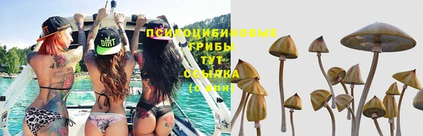 гашик Алексеевка