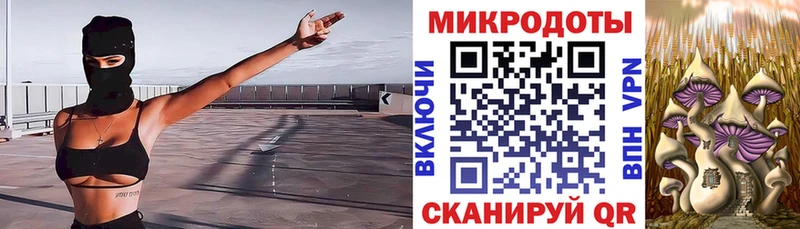 Псилоцибиновые грибы прущие грибы  Ижевск 