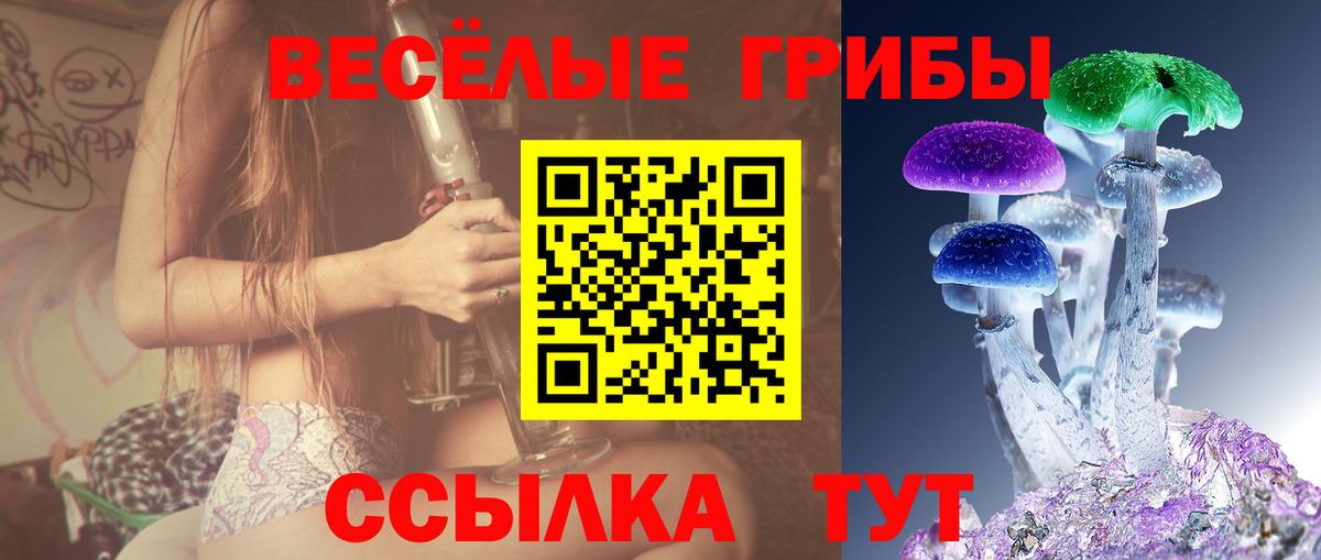 Псилоцибиновые грибы ЛСД Ижевск