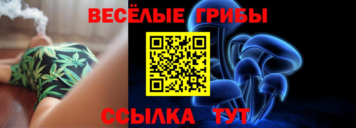 Псилоцибиновые грибы Psilocybe  Галлюциногенные грибы прущие грибы  Ижевск  Вход с VPN 